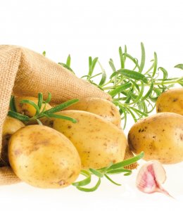 Kartoffeln und Rosmarin © eugena-klykova - shutterstock.com